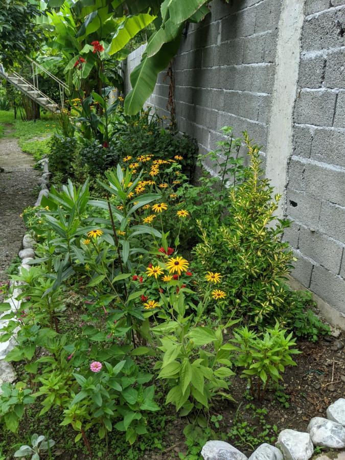 Mano'S Guest House 科布列季 外观 照片