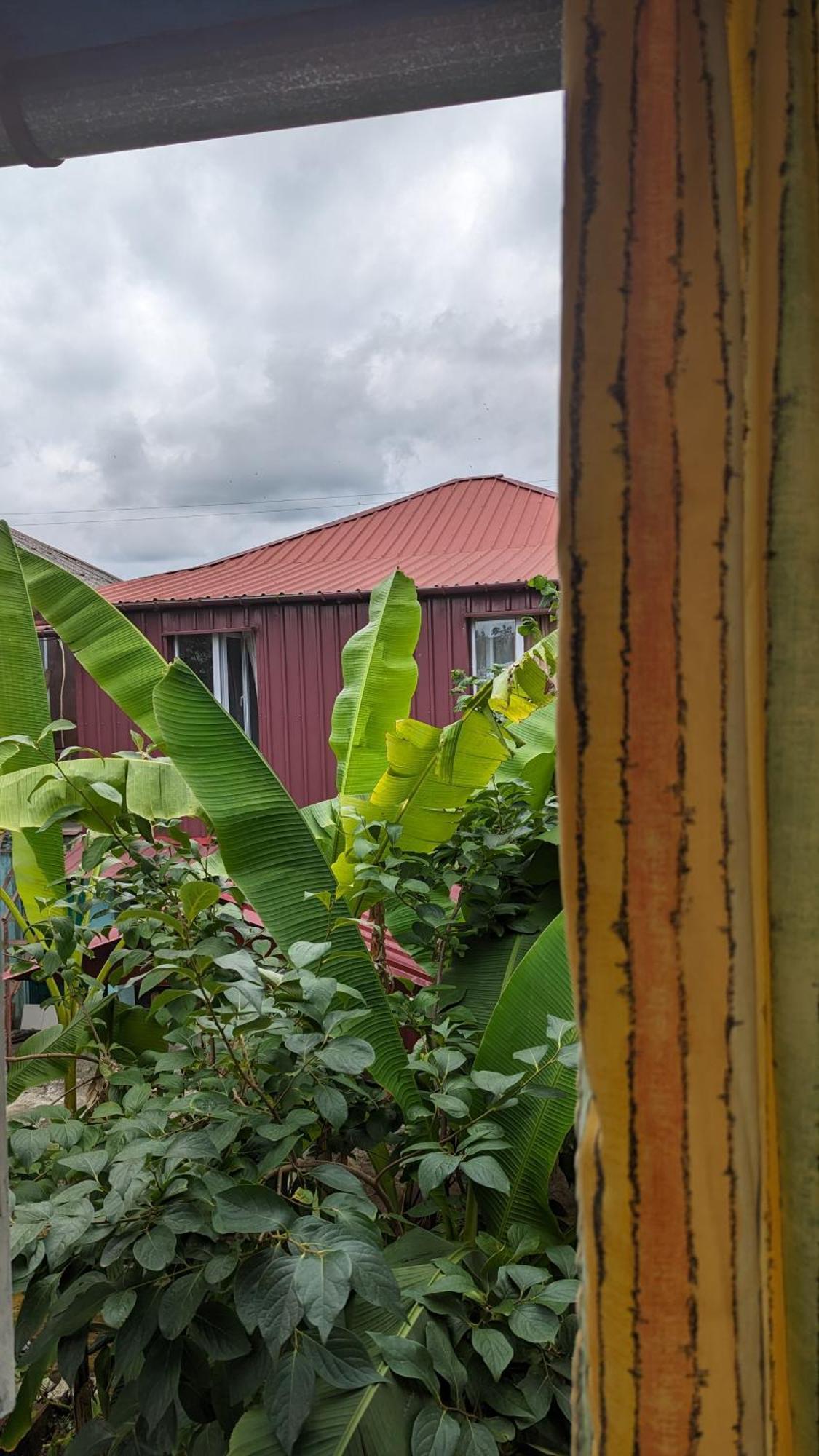 Mano'S Guest House 科布列季 外观 照片