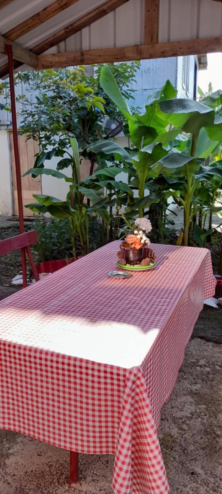 Mano'S Guest House 科布列季 外观 照片